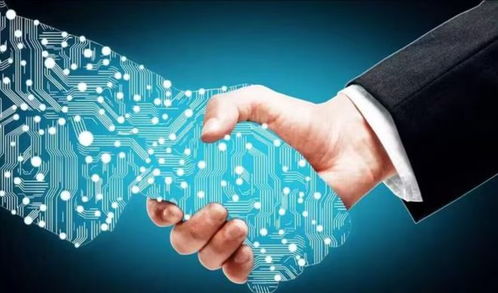 宇意閣深度解析 2023年，數(shù)字技術(shù)服務(wù)——不可錯(cuò)過(guò)的下一個(gè)投資風(fēng)口